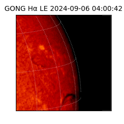 gong - 2024-09-06T04:00:42