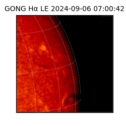 gong - 2024-09-06T07:00:42