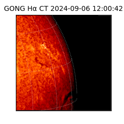 gong - 2024-09-06T12:00:42