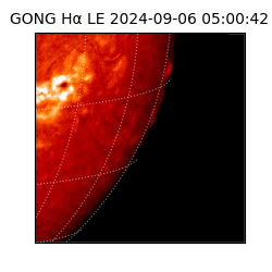 gong - 2024-09-06T05:00:42