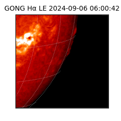 gong - 2024-09-06T06:00:42