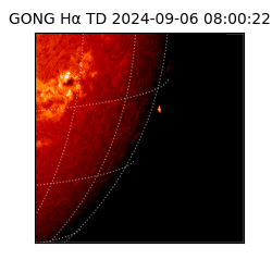 gong - 2024-09-06T08:00:22