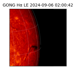 gong - 2024-09-06T02:00:42