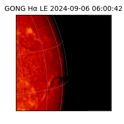 gong - 2024-09-06T06:00:42