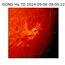 gong - 2024-09-06T09:00:22