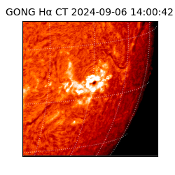 gong - 2024-09-06T14:00:42