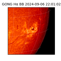 gong - 2024-09-06T22:01:02