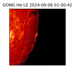 gong - 2024-09-06T01:00:42