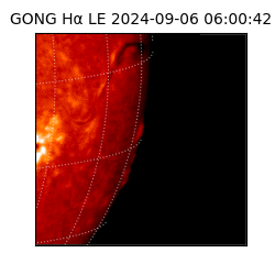 gong - 2024-09-06T06:00:42