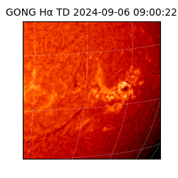 gong - 2024-09-06T09:00:22