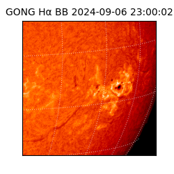 gong - 2024-09-06T23:00:02