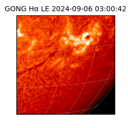 gong - 2024-09-06T03:00:42