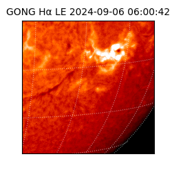 gong - 2024-09-06T06:00:42