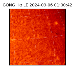 gong - 2024-09-06T01:00:42