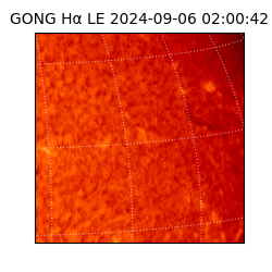 gong - 2024-09-06T02:00:42