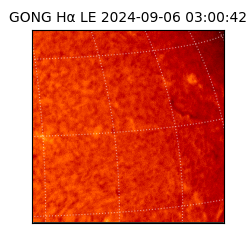 gong - 2024-09-06T03:00:42