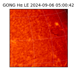 gong - 2024-09-06T05:00:42