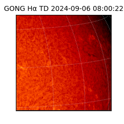 gong - 2024-09-06T08:00:22