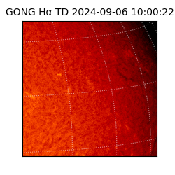 gong - 2024-09-06T10:00:22