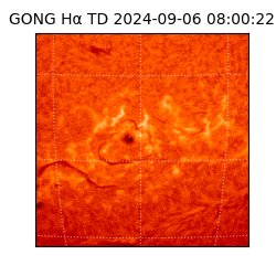 gong - 2024-09-06T08:00:22