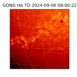 gong - 2024-09-06T08:00:22