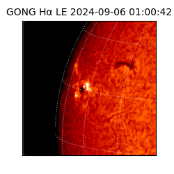 gong - 2024-09-06T01:00:42