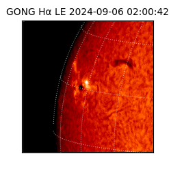 gong - 2024-09-06T02:00:42