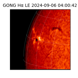 gong - 2024-09-06T04:00:42