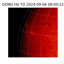 gong - 2024-09-06T08:00:22