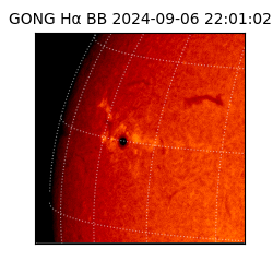 gong - 2024-09-06T22:01:02