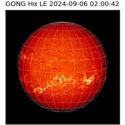 gong - 2024-09-06T02:00:42