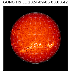 gong - 2024-09-06T03:00:42