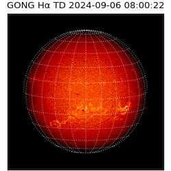 gong - 2024-09-06T08:00:22