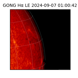 gong - 2024-09-07T01:00:42