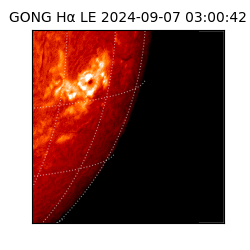 gong - 2024-09-07T03:00:42