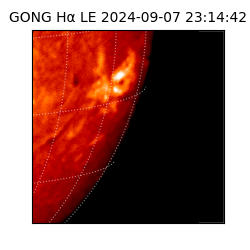 gong - 2024-09-07T23:14:42