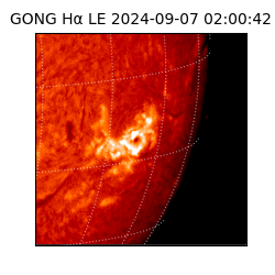 gong - 2024-09-07T02:00:42