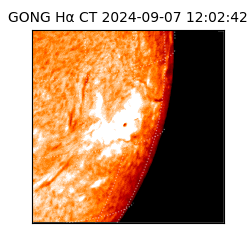 gong - 2024-09-07T12:02:42