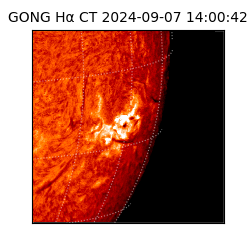 gong - 2024-09-07T14:00:42