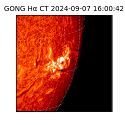 gong - 2024-09-07T16:00:42