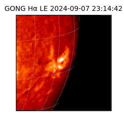 gong - 2024-09-07T23:14:42