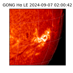 gong - 2024-09-07T02:00:42