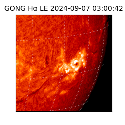 gong - 2024-09-07T03:00:42