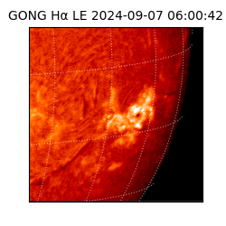 gong - 2024-09-07T06:00:42