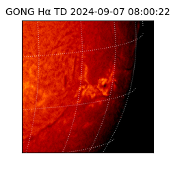 gong - 2024-09-07T08:00:22