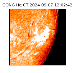 gong - 2024-09-07T12:02:42