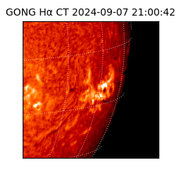 gong - 2024-09-07T21:00:42