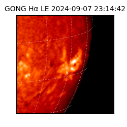 gong - 2024-09-07T23:14:42