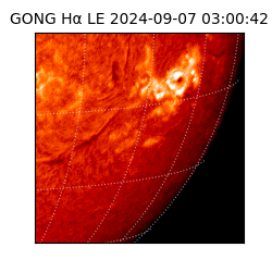 gong - 2024-09-07T03:00:42