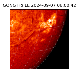 gong - 2024-09-07T06:00:42